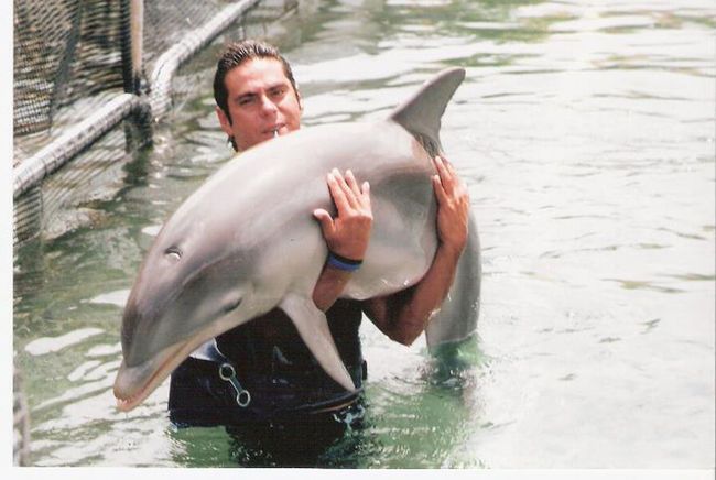 Michelle Vargas Sex - Dolphin trainer gets 13 months for child porn | Toronto Sun