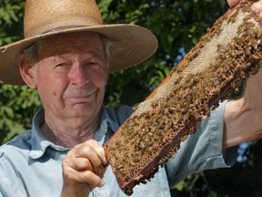 Beekeeper Don Wilson holds a bee-covered honeycomb from one of the colonies at his home in Stirling-Rawdon, Ont. north of Belleville Monday, July 15, 2013. Ontario has announced it will restrict the use of neonicotinoid pesticides linked to bee deaths.