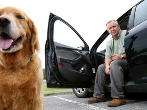 Veterinarian Dr. Mark Hewgill sits in a car near his golden retriever, Bindi, outside Rossmore Animal Hospital Tuesday in Rossmore south of Belleville. He said most pet owners are responsible but some need repeated reminders not to leave pets in vehicles during hot weather. “They don't realize what a few minutes in a very hot car can do," Hewgill said.