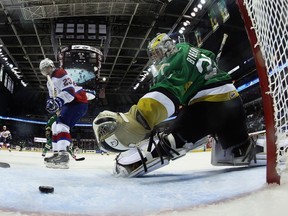 Edmonton Oil Kings’ Edgars Kulda scores on Val-d’Or Foreurs goalie Antoine Bibeau at the Memorial Cup in May. Bibeau is garnering a lot of attention at Maple Leafs prospect camp because of his outstanding play the Memorial Cup. (AFP)
