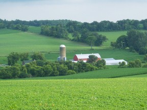 Rolling farmland.