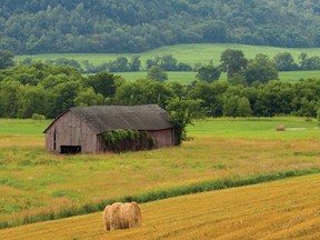 Straw bales