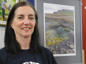 Carol Mulligan/The Sudbury Star
Giant's Causeway is one of 18 pieces of work in the exhibition Ireland by Sudbury artist and art educator Kathy Browning, on display at Artists on Elgin until July 31.