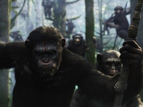 dawn of the planet of the apes