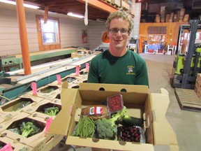 Phillip Zekveld gets ready to load up another week's worth of produce boxes at Zekfeld's Garden Market in Reece's Corners. The family-owned orchard and market delivers boxes of fresh produce weekly to residents in several communities around Sarnia-Lambton.
(Paul Morden/ The Observer)