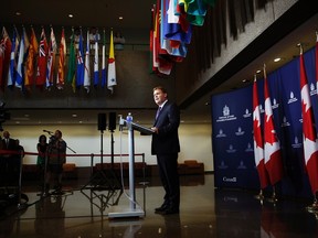 Minister of Foreign Affairs John Baird speaks about Canada's response to the situation in Ukraine during a press conference in Ottawa July 11, 2014. (REUTERS/Blair Gable)