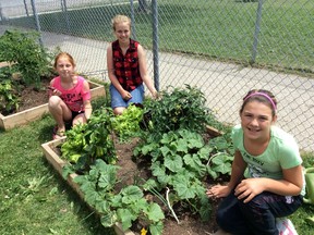 Submitted photo:
Brooklyn Ayers, Gabbie Wall and Isabelle De Bok of A.A. Wright Public School in Wallaceburg show off their thriving vegetable gardens to the G.R.E.E.N. Schools judges. CK Communities in Bloom volunteer judges were particularly impressed to learn that a small Farmer’s Market was being considered as a prospective school fundraiser.