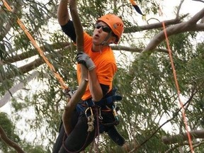 Competitor Krista Strating is pictured at a tree climbing competition in Austrailia three years ago. (SUPPLIED PHOTO)
