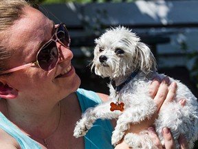 Shannon Carlin, joyful and relieved, poses with her Maltese, Jager, at a friend's home in west Edmonton on Monday. Jager was found two days after being stolen from Carlin's patio. (CODIE MCLACHLAN/Edmonton Sun)