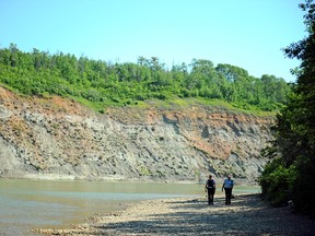 RCMP officers walk along the south bank of the North Saskatchewan River in Devon, where an unidentified man went missing Sunday. (ANDREW HOSHKIW/DEVON DISPATCH/QMI AGENCY)