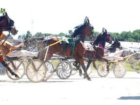 A 1-2-6 combination was one of the triactor winners at opening day at the Dresden Raceway on July 1.