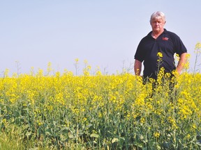Gord Nelson, who farms in the Arrowwood area, stands in a field of canola he planted this spring for Harvest for Health, a fundraiser that the Vulcan County Health and Wellness Foundation has started to raise money for an addition to the Vulcan Community Health Centre. The seed was lined up through Parrish and Heimbecker in Mossleigh talking to its suppliers. Stephen Tipper Vulcan Advocate