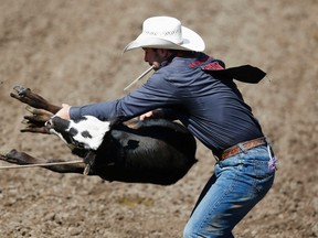 Morgan Grant of Granton, Ontario flips a calf to win the tie-down roping event to during the final day of the Calgary Stampede rodeo in Calgary, Alberta, July 13, 2014. (REUTERS)