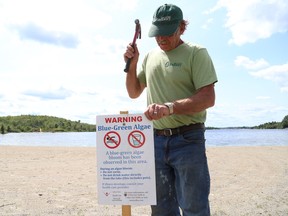 A City of Greater Sudbury parks employee hammers in a sign on Moonlight Beach stating a possible blue-green algal bloom. The Sudbury & District Health Unit and the Ministry of the Environment are currently investigating a possible blue-green algal bloom at Moonlight Beach on Ramsey Lake in the City of Greater Sudbury. The Ministry of the Environment is testing water samples to confirm the presence of blue-green algae. As a precaution, the Health Unit has posted signs advising the public to avoid swimming, drinking the water, and allowing pets into the water if the algal bloom is present at the beaches. If no bloom is present, water can be used for regular recreational activities. Gino Donato/The Sudbury Star