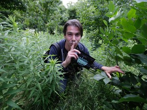 MIB founder Chris hides vouchers for free pot at Christie Park on Thursday, July 17, 2014. (Craig Robertson/Toronto Sun)