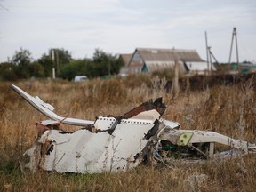 Wreckage is pictured at the crash site of Malaysia Airlines Flight MH17, near the settlement of Grabovo in the Donetsk region July 19, 2014. Ukraine accused Russia and pro-Moscow rebels on Saturday of destroying evidence to cover up their guilt in the shooting down of the Malaysian airliner that has accelerated a showdown between the Kremlin and Western powers. REUTERS/Maxim Zmeyev