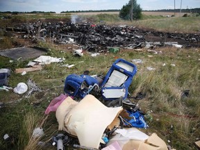 Parts of the wreckage are seen at a crash site of Malaysia Airlines Flight MH17 near the village of Hrabove (Grabovo), Donetsk region July 21, 2014. REUTERS/Maxim Zmeyev