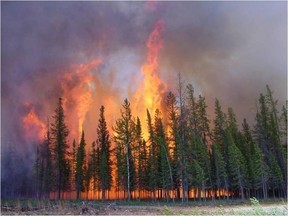 Flames engulf trees in the North West Territories as more then 160 fires burn across the territory in mid July, 2014. Environment Canada has issued a high health risk warning for Yellowknife and surrounding area because of heavy smoke in the region due to forest fires. Department of Environment and Natural Resources/Handout/QMI Agency