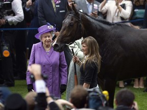 In this file picture taken on June 20, 2013, Britain's Queen Elizabeth II stands beside her horse, Estimate, in the winner's enclosure after it won the Gold Cup on the third day of Royal Ascot, in Berkshire, west of London. (AFP PHOTO / CARL COURT)