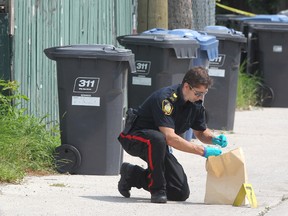 A Winnipeg police officer collects evidence in a homicide investigation after a woman was found with stab wounds in a backlane between the 400-blocks of Redwood and Aberdeen Avenues last Friday. (Kevin King/Winnipeg Sun)
