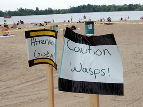 Hot weather sun seekers enjoyed the weather at Mooney's Bay Beach in Ottawa Tuesday. With the hot weather comes the danger of wasps. City lifeguards put up signs to warn people of sand wasps. Tony Caldwell/Ottawa Sun