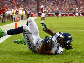 Seattle Seahawks wide receiver Sidney Rice catches a touchdown pass in the first quarter against the Arizona Cardinals at University of Phoenix Stadium on Oct. 17, 2013. (Mark J. Rebilas/USA TODAY Sports)