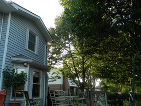 The owner of this home recently trimmed tree branches that were touching the roof and limiting use of the deck. Trimming branches so they?re at least four metres from a house will allow proper airflow and prevent damage to the roof caused by branches.