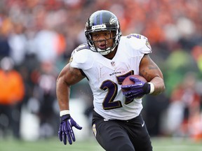 Baltimore Ravens running back Ray Rice was arrested for domestic violence after a February altercation with his then-fiancee Janay Palmer at an Atlantic City hotel. (AFP/PHOTO)