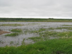 Flooding is seen on the land of farmer Bill Finney in Eddystone, Man. (HANDOUT)