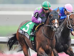 Ami’s Holiday (5), ridden by jockey Luis Contreras and surging past Big Bazinga to capture the Grey Stakes, is the 9-5 morning- line favourite to win Tuesday night’s Prince of Wales Stakes. (Michael Burns photo)