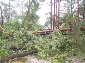 Trees and power lines came down near Grand Bend as a severe storm moved Sunday evening through Lambton Shores. Crews were at work Monday cleaning up the damage and working to restore electricity to more than 4,000 homes. LYNDA HILLMAN-RAPLEY/LAKESHORE ADVANCE/QMI AGENCY