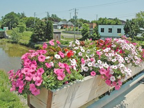 Two flower boxes along the Huron Road bridge in Mitchell were damaged recently. The flowers were completely ripped out and thrown into the river below. The act of vandalism was brought to the attention of the municipality, the Tourism and Beautification Committee and the Police Services Board and have since been replaced. KRISTINE JEAN/MITCHELL ADVOCATE