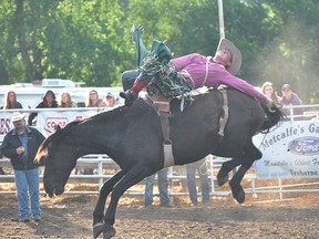 Bareback riding during the Manitoba Threshermen's Reunion & Stampede July 24-27 in Austin. (Kevin Hirschfield/The Graphic)
