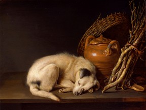 Sleeping Dog (1650), oil on panel, by Gerrit Dou (1613-1675). (The Rose-Marie and Eijk van Otterloo Collection)