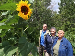 JOHN LAPPA/THE SUDBURY STAR/QMI AGENCY Andre Bourdua, of Greater Sudbury, and his sisters, Suzanne and Therese Bourdua, tour a garden at Bell Park in Sudbury, ON. on Monday, July 28, 2014.
