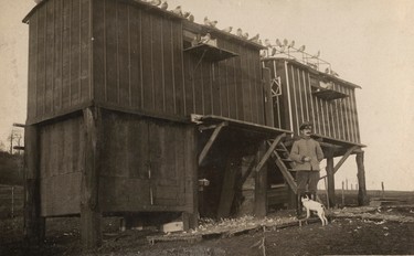 A German pigeon loft is pictured on the Western Front, in this 1916 handout picture. This picture is part of a previously unpublished set of World War One (WWI) images from a private collection. The pictures offer an unusual view of varied and contrasting aspects of the conflict, from high tech artillery to mobile pigeon lofts, and from officers partying in their headquarters to the grim reality of life and death in the trenches. The year 2014 marks the centenary of the start of the war.  REUTERS/Archive of Modern Conflict London/Handout via Reuters