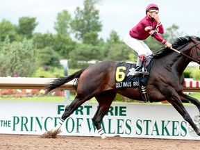 Coltimus Prime won the Prince of Wales Stakes at Fort Erie, Ont., in 2014. (Michael Burns photo)