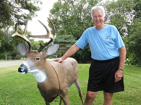Stu Brigden's lawn deer named Buck has neighbours turning their heads.