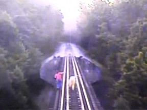 Footage from a train's mounted camera shows two women crawl between the tracks as train cars passed inches above their heads over a suspension bridge near Bloomington, Indiana. (ABC News screengrab)