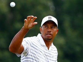 Tiger Woods catches a ball during a practice round for the WGC Bridgestone Invitational at Firestone Country Club South Course in Akron, Ohio, yesterday. Play gets underway today. (AFP)