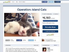 Operation: Island Cats Gofundme page. (SCREENSHOT)