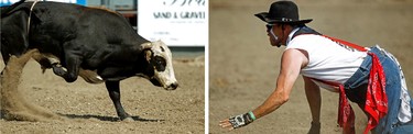 On the count of three. On the left is Closing the Casket grinding the ground on the right, rodeo clown Darren Tuftin strikes a similar pose during the  Bulls for Breakfast at Big Valley Jamboree 2014 in Camrose, Alta., on Friday, Aug. 1, 2014. The jamboree runs through Aug. 3, 2014. Ian Kucerak/Edmonton Sun/QMI Agency