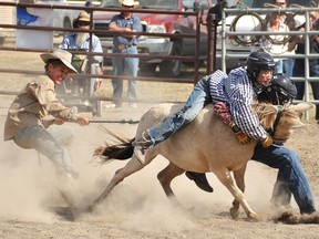Wild pony races are back on the docket for the 10th annual Sid Hartung Memorial Rodeo, which takes place Aug. 16-17.
Advocate file photo