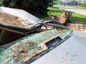A car shows the damage dealt by a falling tree in Grand Bend. Tourists and beach goers filled the town a week after a severe storm hit the area and an F1 tornado caused damage nearby. BRENT BOLES / THE OBSERVER / QMI AGENCY