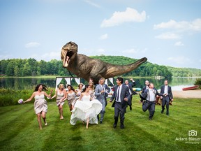Jurassic Park star Jeff Goldblum (centre in grey suit) helps Toronto couple Jesse and Pamela Sargent create an epic wedding photo. (Adam Biesenthal photo)