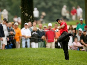 When Tiger Woods hit out of the rough on the second hole during the final round of the World Golf Championships-Bridgestone Invitational on August 3, 2014 in Akron, Ohio he appeared to re-aggravate a back injury that sidelined him for most of the 2014 PGA Tour season. Gregory Shamus/Getty Images/AFP?
