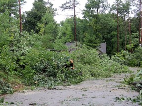 Foundation wants to help restore tornado damage