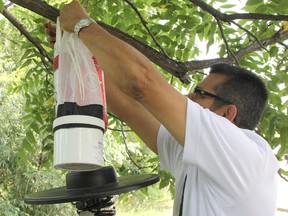 Middlesex-London Health Unit lab technician and entomologist Hugo Ortiz Saavedra sets up a mosquito trap in Strathroy August 6. Two mosquito traps in Strathroy and London tested positive for West Nile virus this month. ELENA MAYSTRUK\LONDONER\AGE DISPATCH\QMI AGENCY