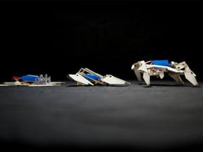 A team from Harvard's Wyss Institute, Harvard's SEAS, and MIT built an autonomous robot that starts out as a single composite sheet programmed to fold itself into a complex shape and crawl away without any human intervention. (Photo: Harvard's Wyss Institute/Handout/QMI Agency)