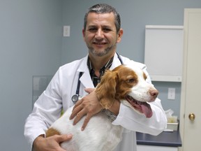 Cornwall vet Dr. Adnan El Korchi with Hunter. El Korchi said an outbreak of parvovirus this year in that Eastern Ontario city has been exceptionally bad and he is urging all dog owners to make sure their pets are vaccinated. (LOIS ANN BAKER/CORNWALL STANDARD-FREEHOLDER/QMI AGENCY​)